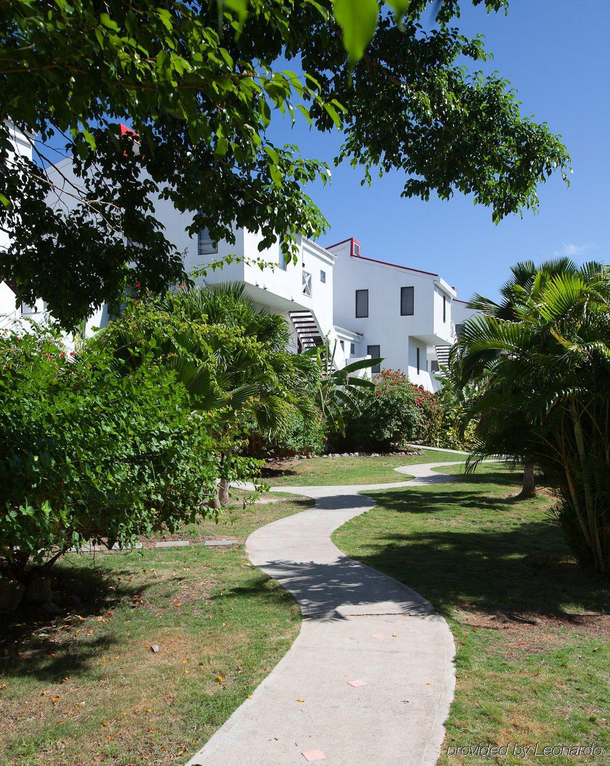 Coconut Beach Club Resort St. John's Exteriér fotografie