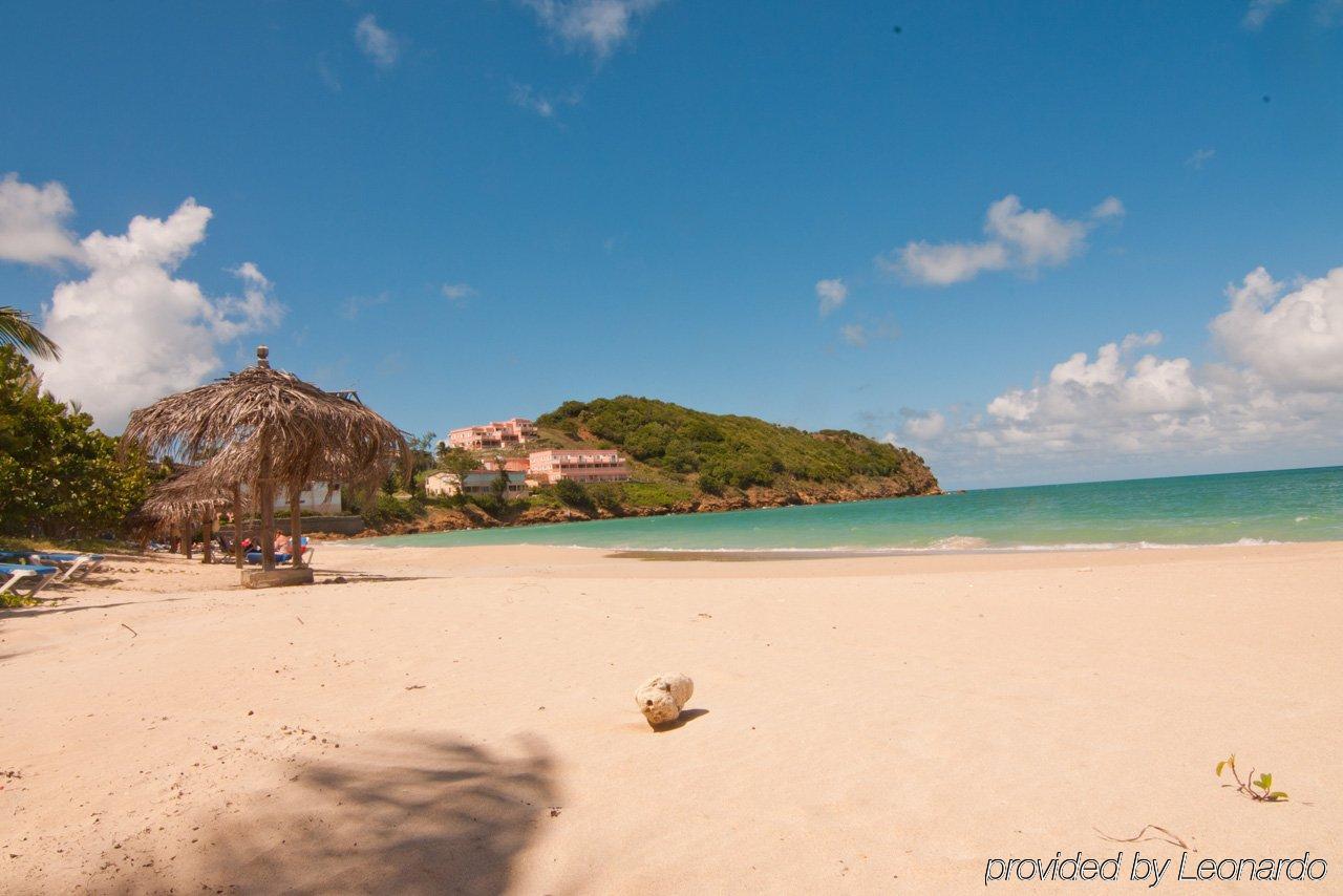 Coconut Beach Club Resort St. John's Zařízení fotografie